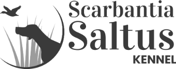 Scarbantia Saltus